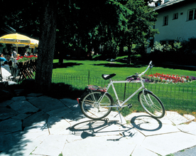 自行车共享单车车技图片