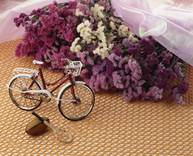 自行车共享单车车技图片