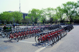 自行车共享单车车技图片