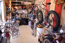 自行车共享单车车技图片