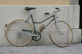 自行车共享单车车技图片