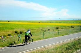 自行车共享单车车技图片