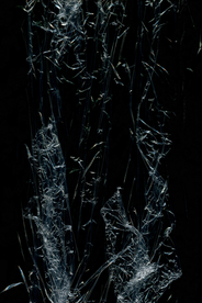 水彩绘画可爱小狗