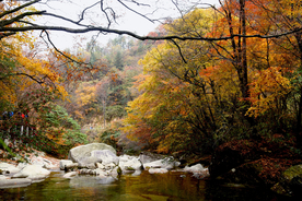 金秋山溪