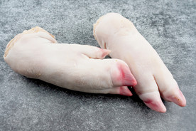 猪蹄卤猪蹄红烧猪蹄酱香猪蹄