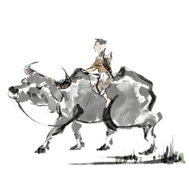 清明节放牛素材