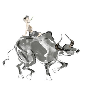 清明节放牛素材