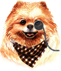 水彩绘画可爱小狗