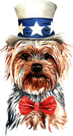 水彩绘画可爱小狗