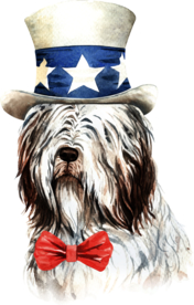 水彩绘画可爱小狗