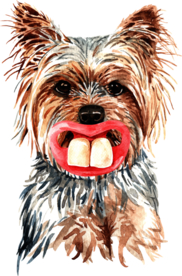 水彩绘画可爱小狗