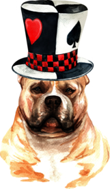 水彩绘画可爱小狗