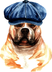 水彩绘画可爱小狗