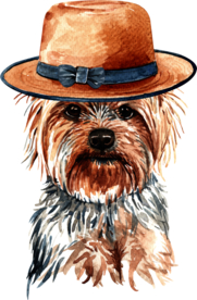 水彩绘画可爱小狗