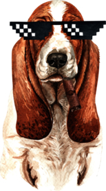 水彩绘画可爱小狗