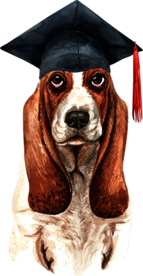 水彩绘画可爱小狗