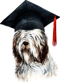 水彩绘画可爱小狗