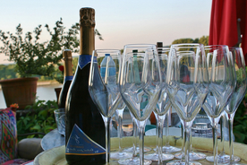 酒杯酒瓶水杯图片