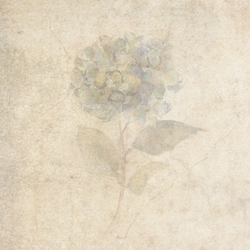 复古田园风花纹背景