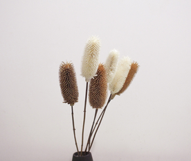 花艺插花花卉图片