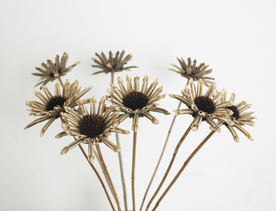 花艺插花花卉图片