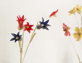 花艺插花花卉图片