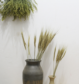 花艺插花花卉图片