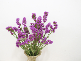 花艺插花花卉图片