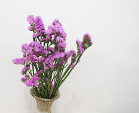 花艺插花花卉图片