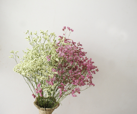 花艺插花花卉图片