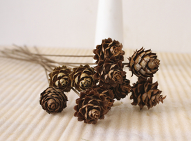 花艺插花花卉图片