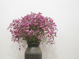 花艺插花花卉图片