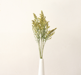 花艺插花花卉图片