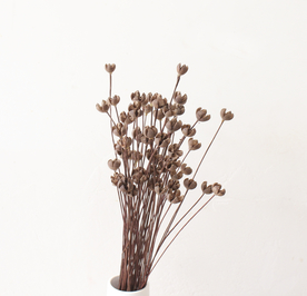 花艺插花花卉图片