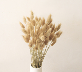 花艺插花花卉图片