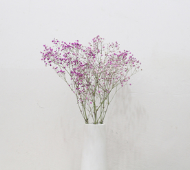 花艺插花花卉图片