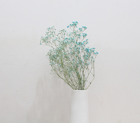 花艺插花花卉图片