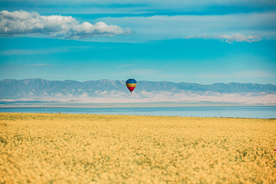 热气球气球图片