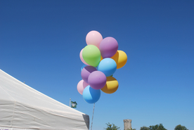 气球热气球图片