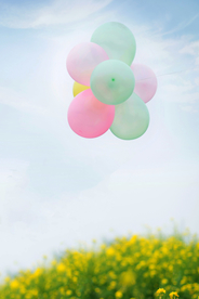 气球热气球图片