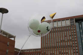 气球热气球图片