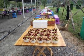 公司户外聚会图片