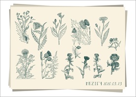 复古蓟植物素描画