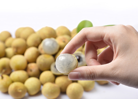 荔枝桂圆龙眼肉桂图片