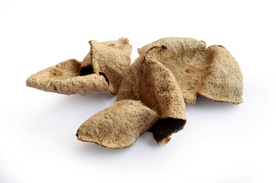 花椒桂皮陈皮茴香调料