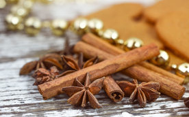 花椒桂皮陈皮茴香调料