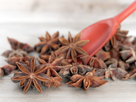 花椒桂皮陈皮茴香调料