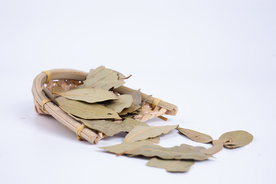 花椒桂皮香叶茴香调料