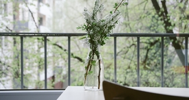 花艺插花花卉图片