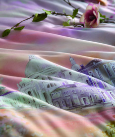 迷请法兰西毛毯